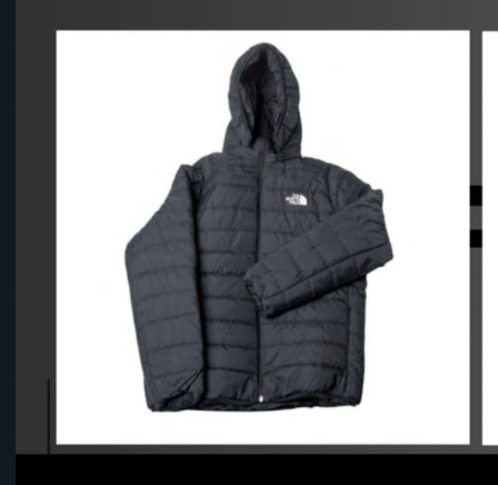 chaqueta the north face men